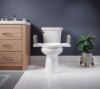 Picture of Bemis Assist Toilet Seat with Support Arms